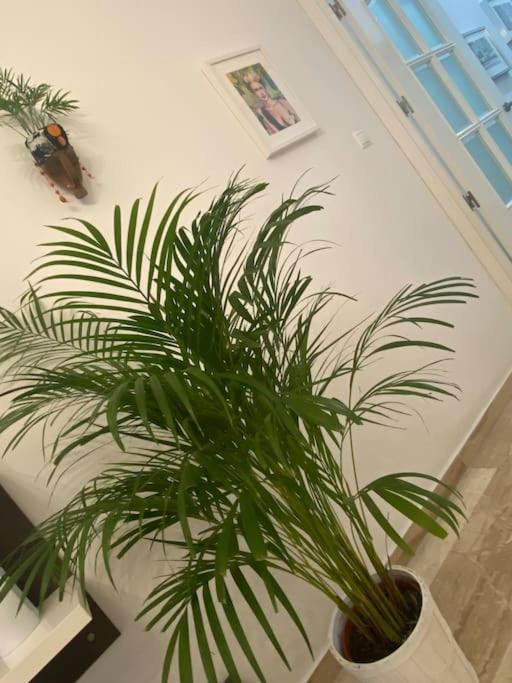 Casa Mina Cadiz Appartement Buitenkant foto